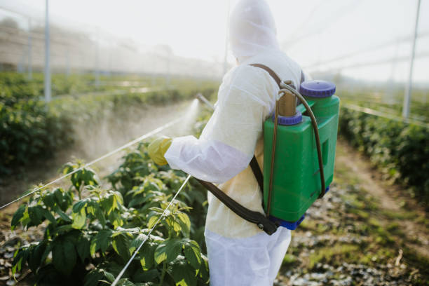 Best Termite Inspection and Treatment  in Woodstock, AL